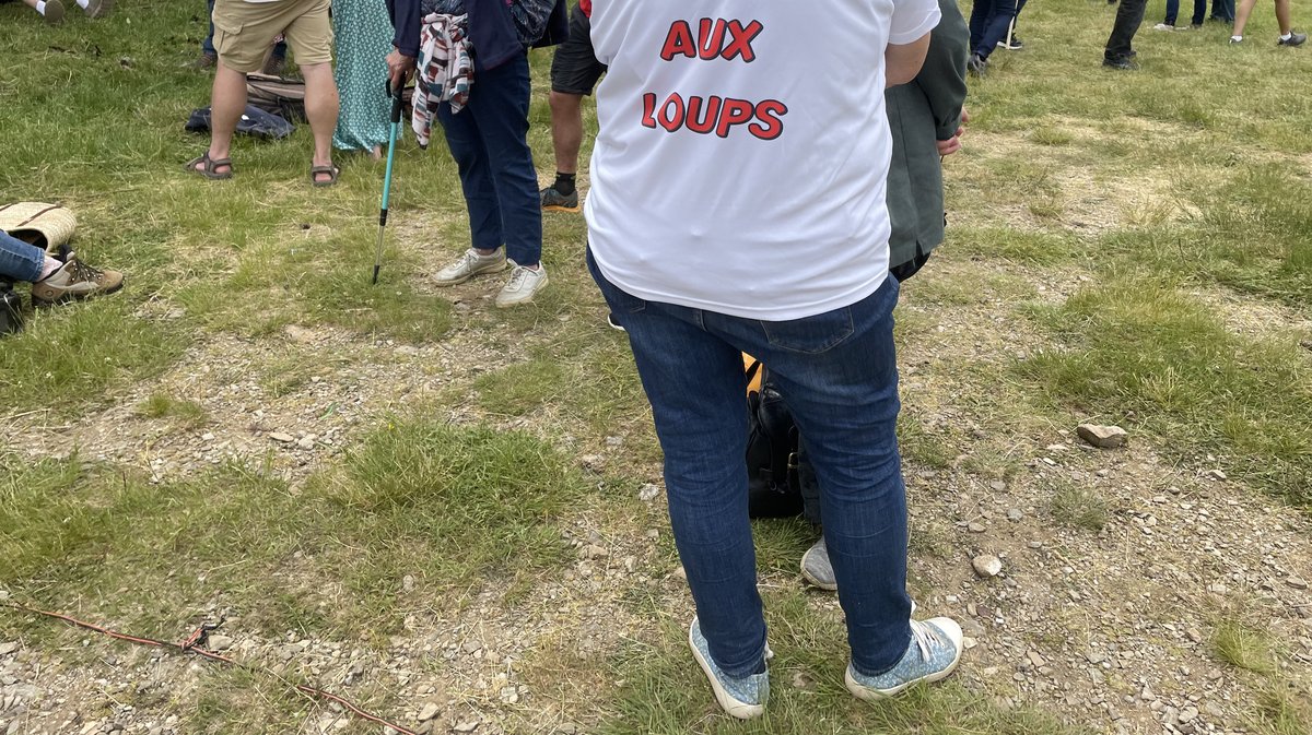 Transhumance 2025