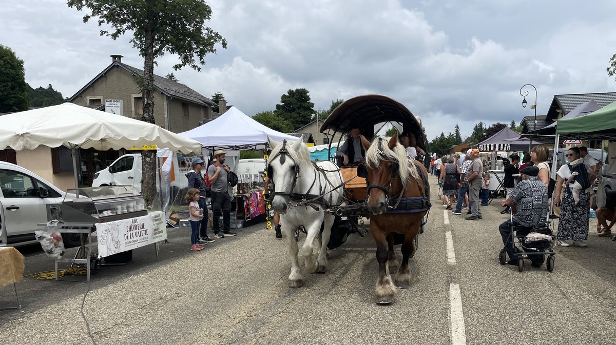 Transhumance 2025