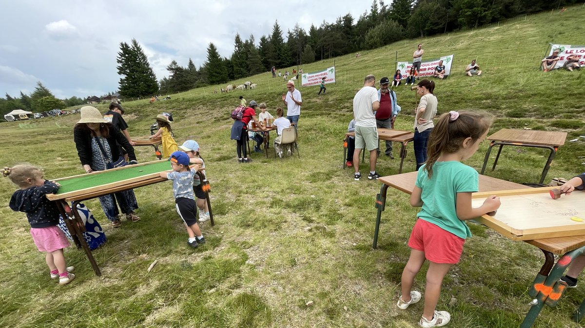 Transhumance 2025