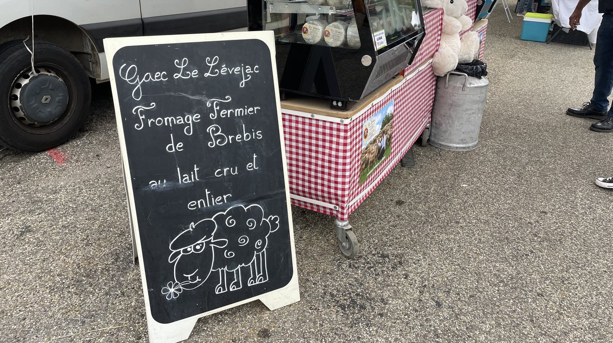 Transhumance 2025