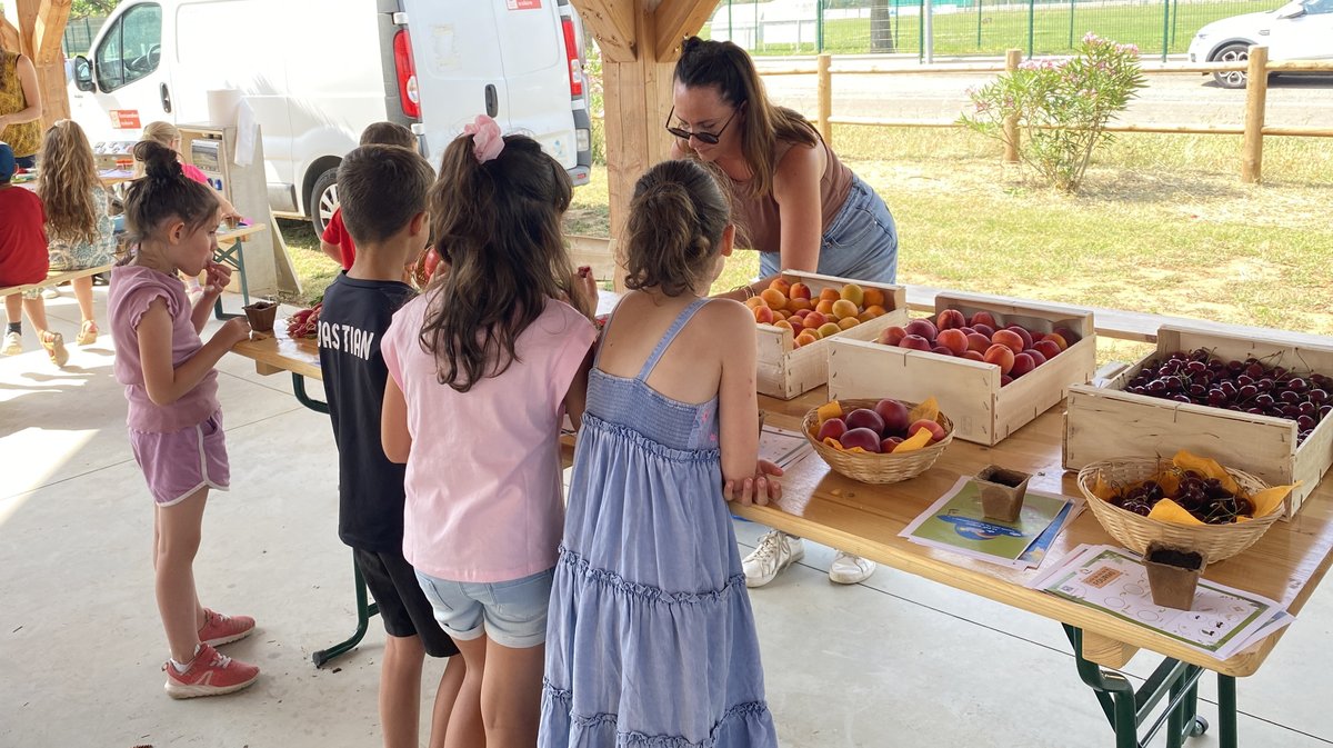 Les animations pour les enfants.