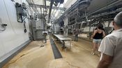 L'abattoir d'Alès remis au propre