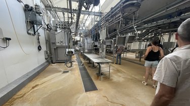 L'abattoir d'Alès remis au propre