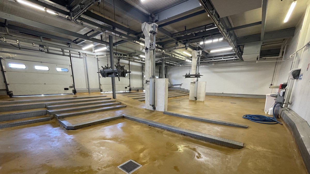 L'abattoir d'Alès remis au propre