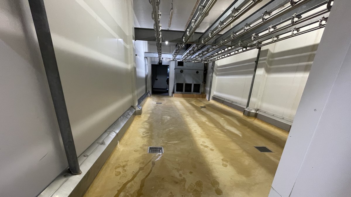 L'abattoir d'Alès remis au propre