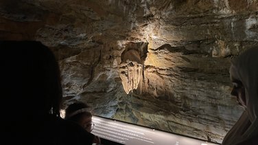 Visite de la Grotte de Trabuc