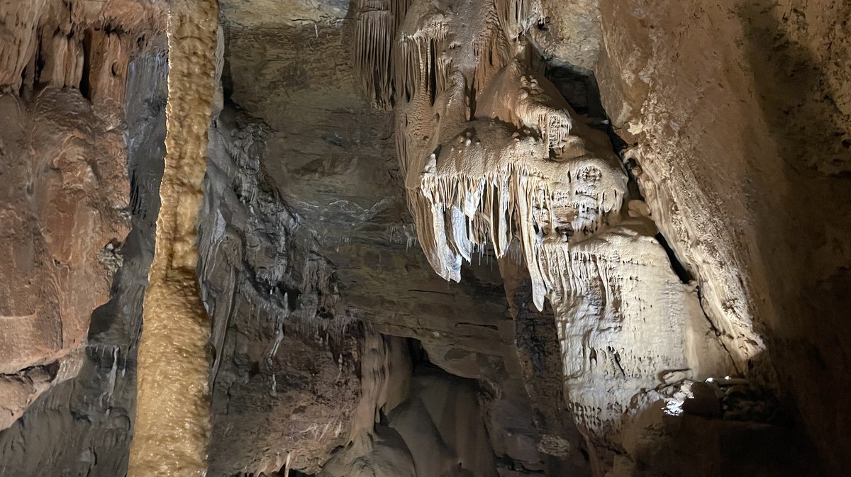 Visite de la Grotte de Trabuc
