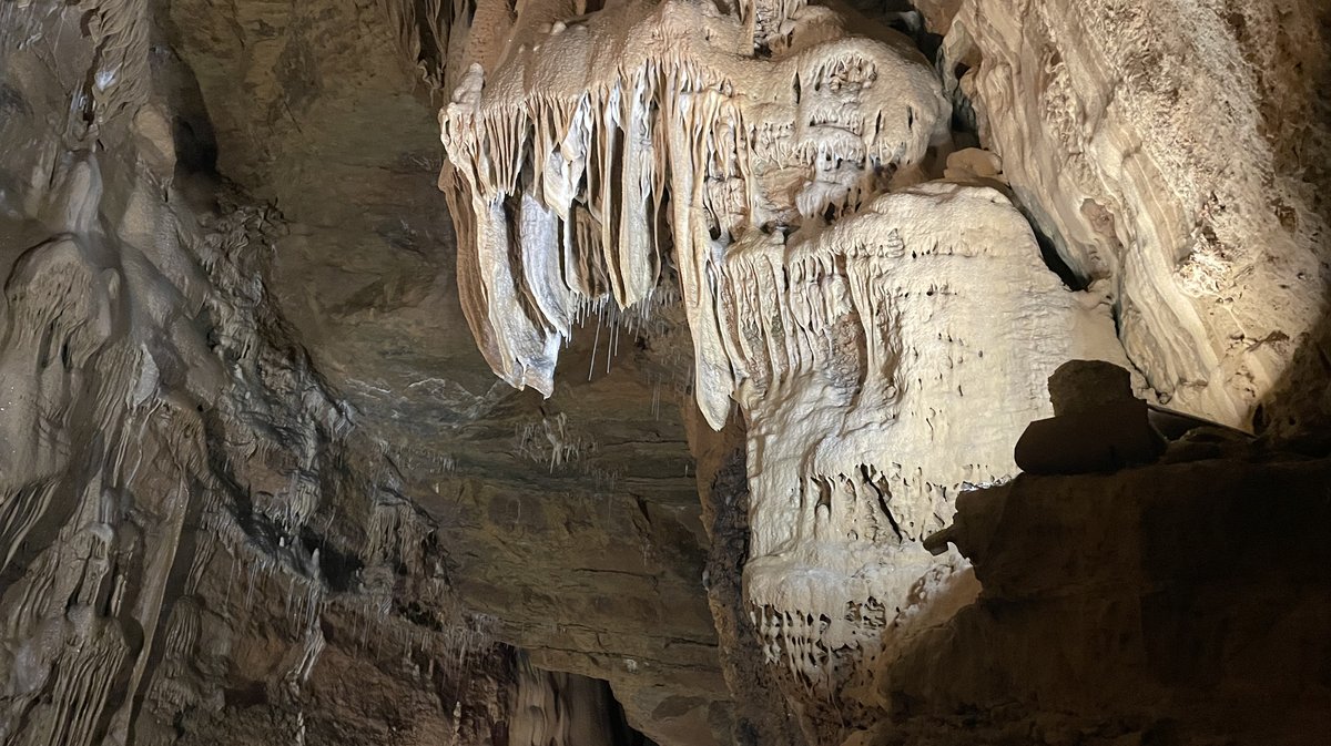 Visite de la Grotte de Trabuc