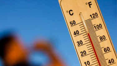 canicule