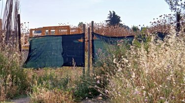 Chiens Saint-Gervasy