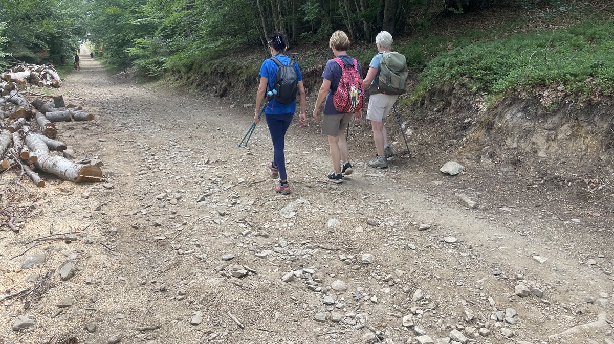 Trail du Mont Aigoual 2025