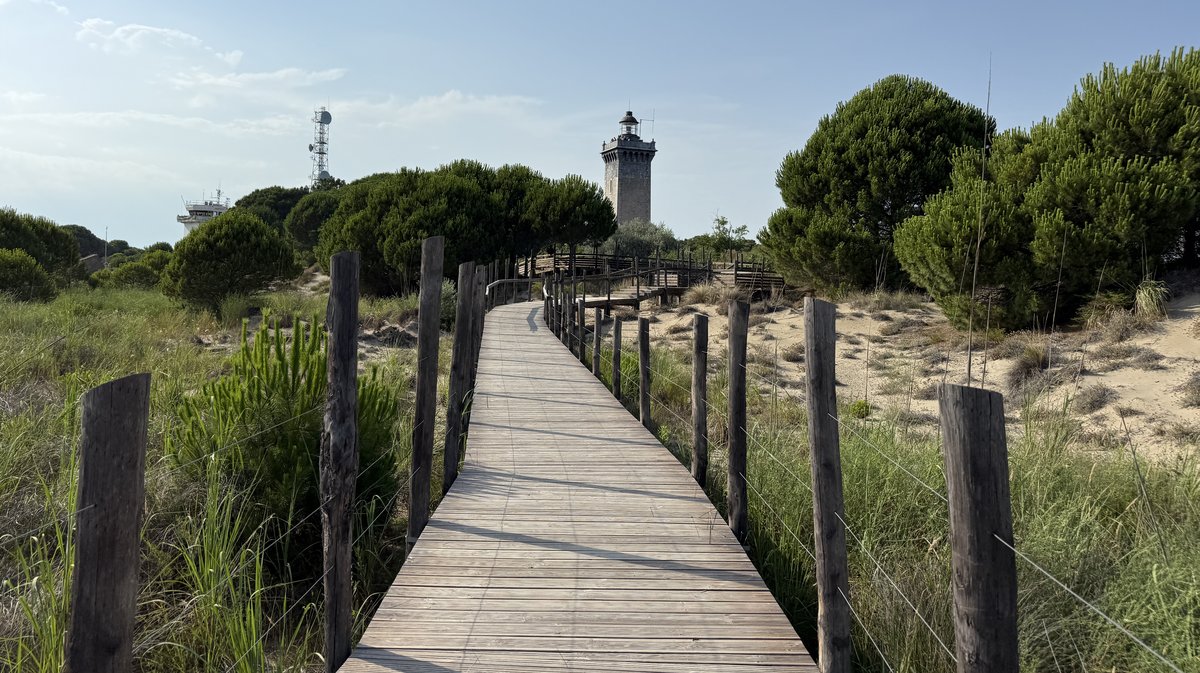 Phare de l'Espiguette