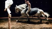 Plume de cheval en répétition