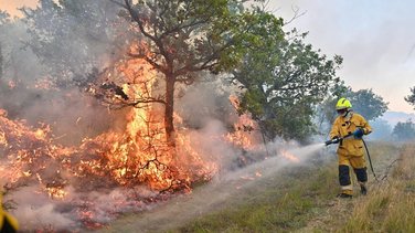incendie montdardier