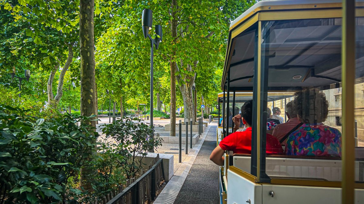 Le petit train