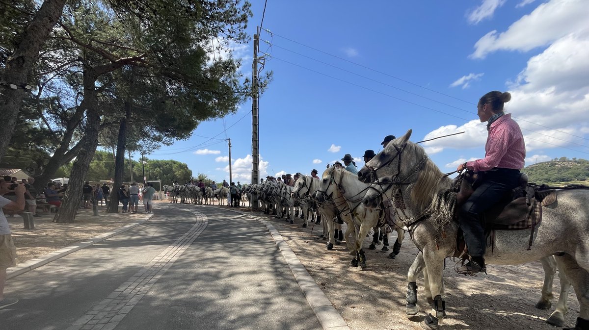 Concours d'abrivado de Sernhac pour le festival 'Traditions & Aficion' de Nîmes Métropole 2025