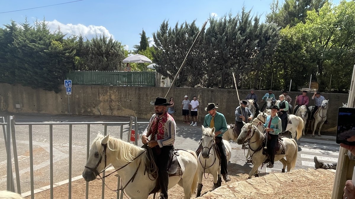 Concours d'abrivado de Sernhac pour le festival 'Traditions & Aficion' de Nîmes Métropole 2025