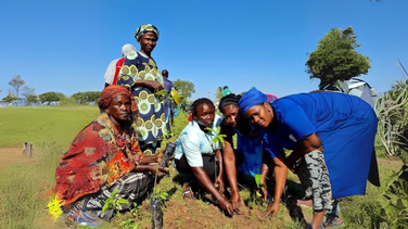 Action de la la SOCOOP au Sénégal