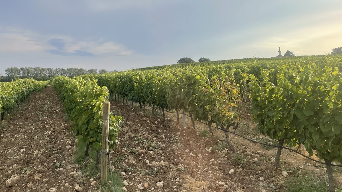Domaine de Panéry Pouzilhac