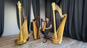 Nathalie Chatelain, harpiste gardoise