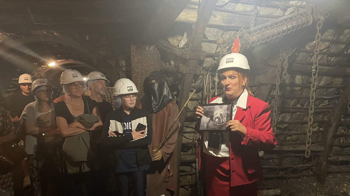 Mine témoin Alès