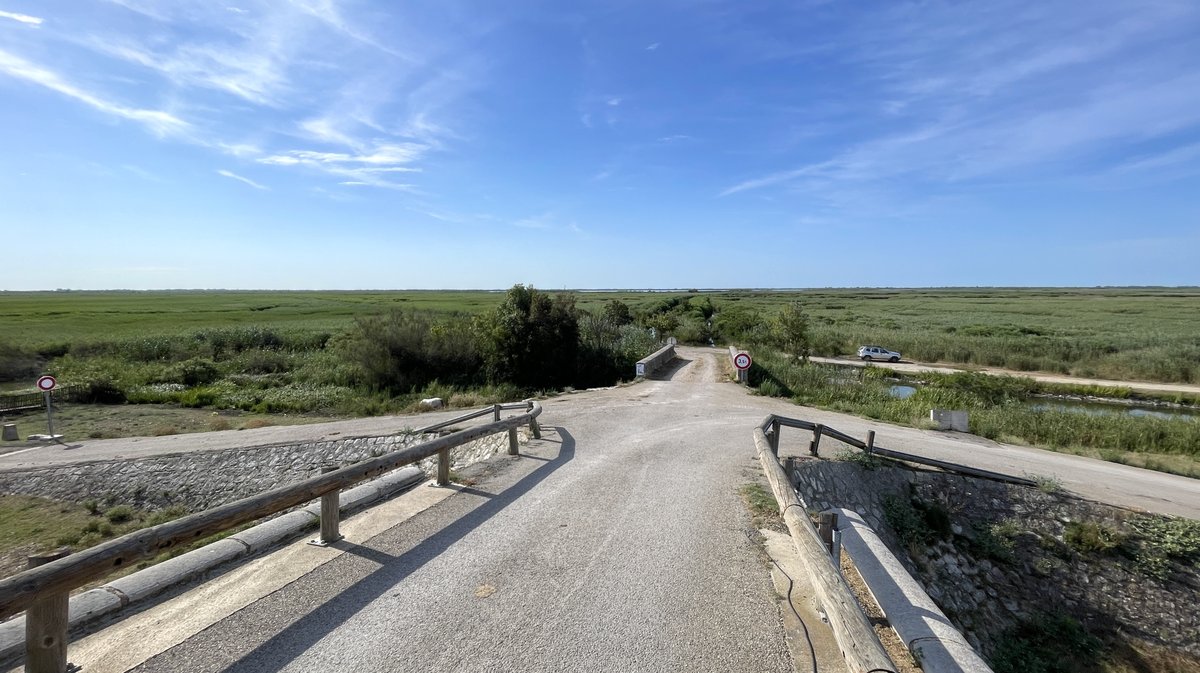 Travaux de restauration des milieux humides complexe du Scamandre Franquevaux (Photo Anthony Maurin)
