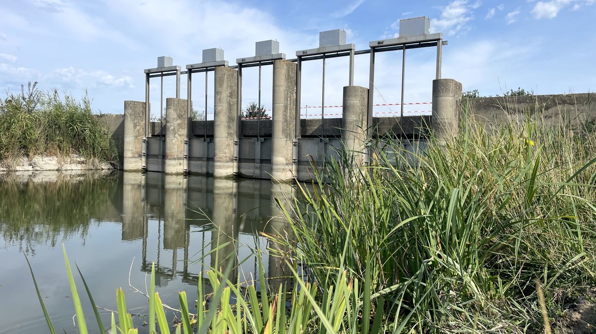 Travaux de restauration des milieux humides complexe du Scamandre Franquevaux (Photo Anthony Maurin)