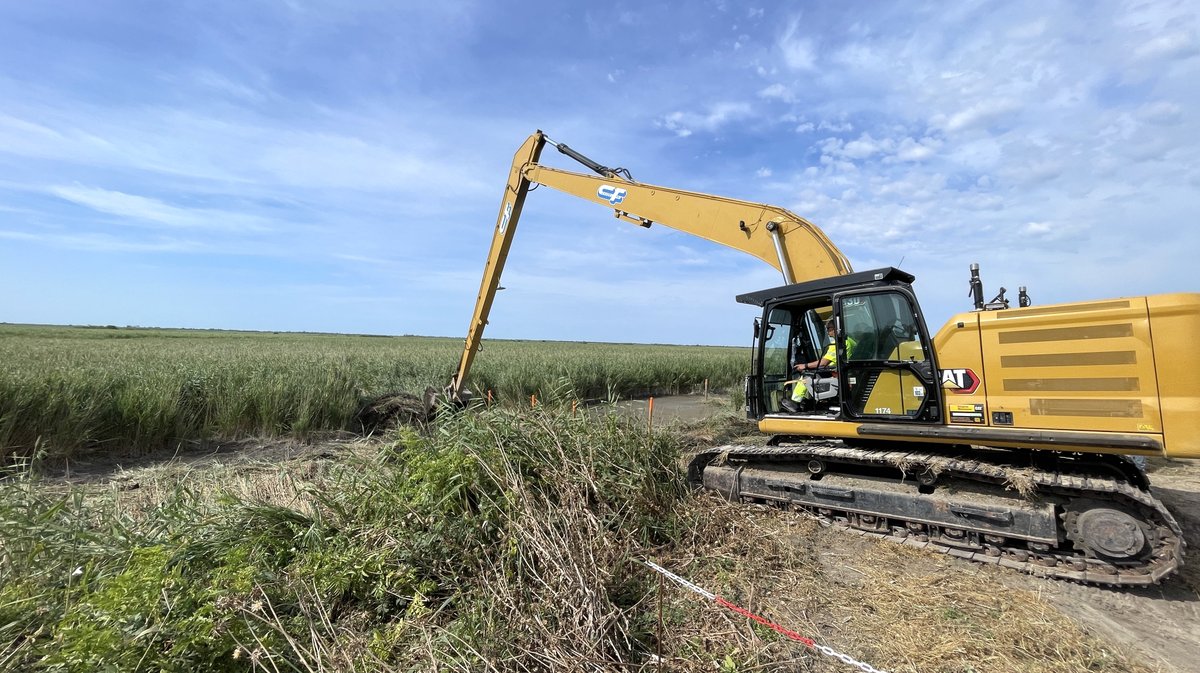 Travaux de restauration des milieux humides complexe du Scamandre Franquevaux (Photo Anthony Maurin)