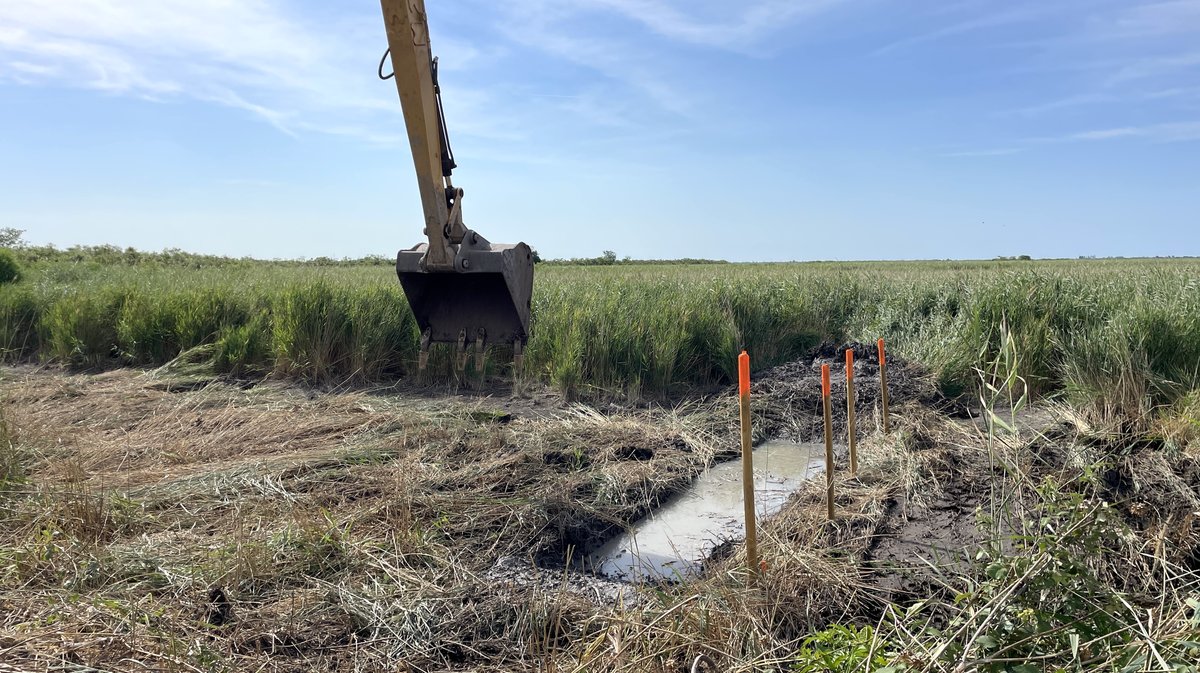 Travaux de restauration des milieux humides complexe du Scamandre Franquevaux (Photo Anthony Maurin)