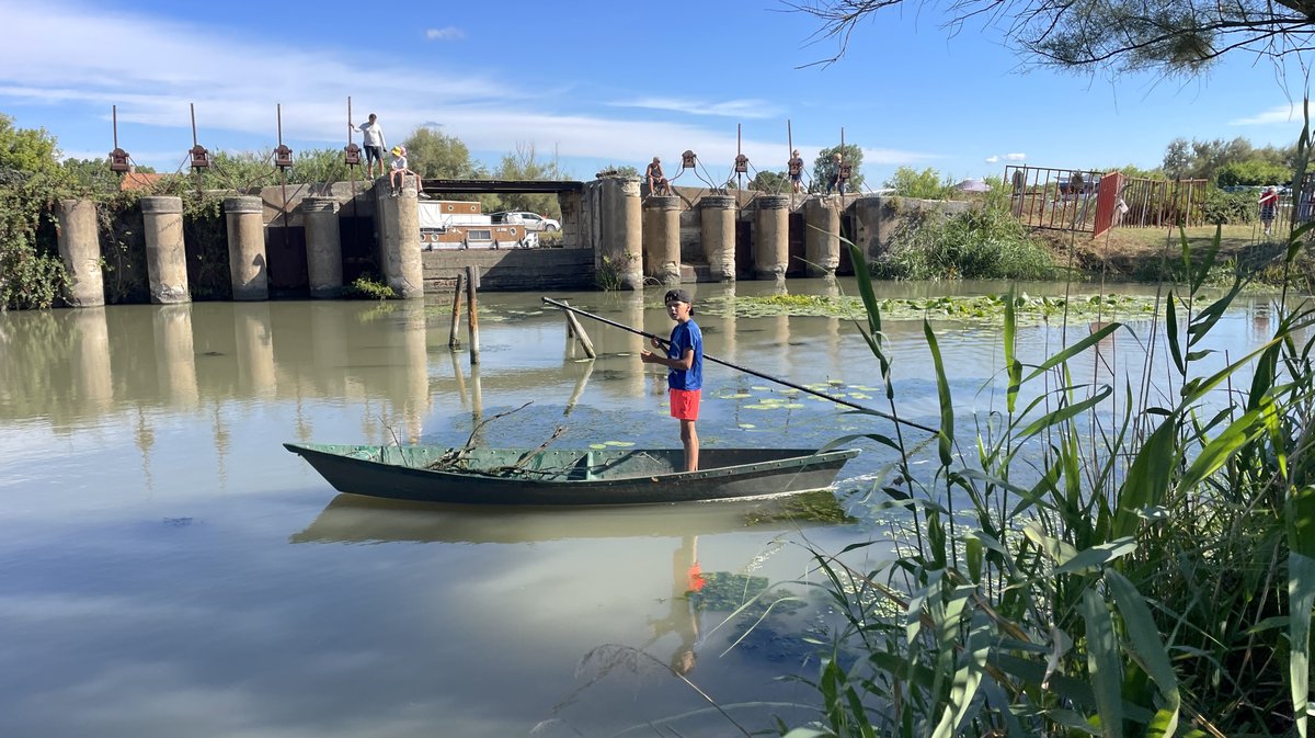 Gallician gaze Camargue 2025 (Photo Anthony Maurin)