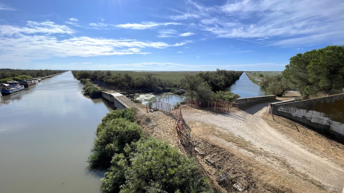 Gallician gaze Camargue 2025 (Photo Anthony Maurin)