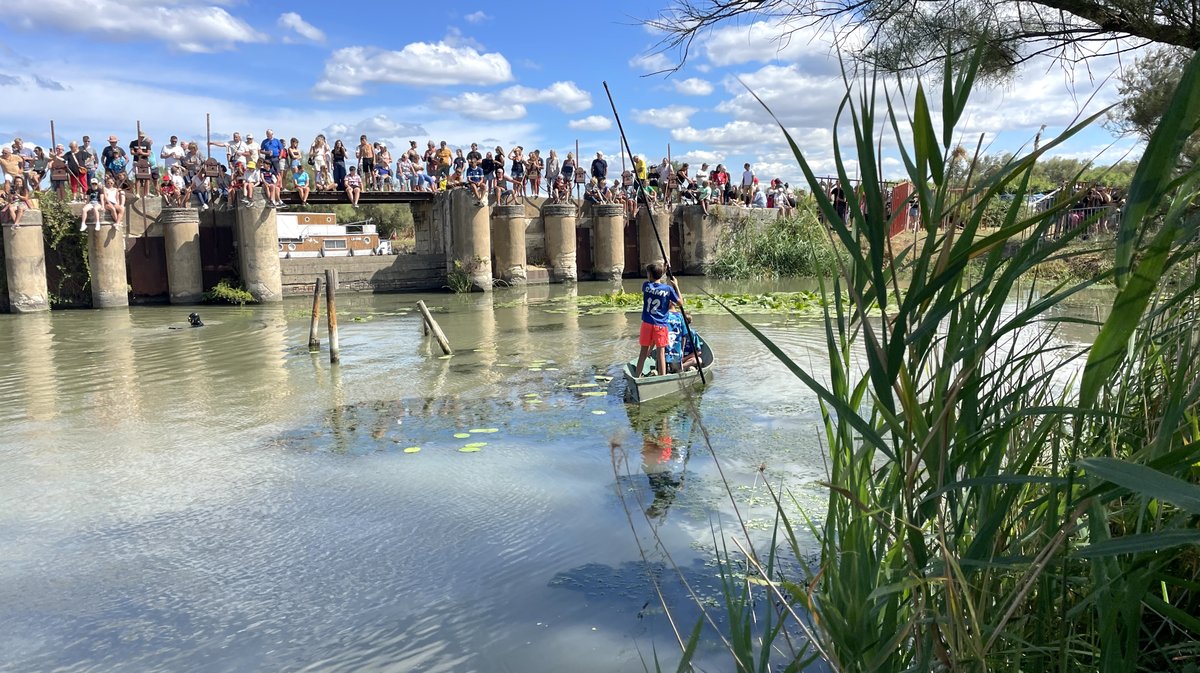 Gallician gaze Camargue 2025 (Photo Anthony Maurin)