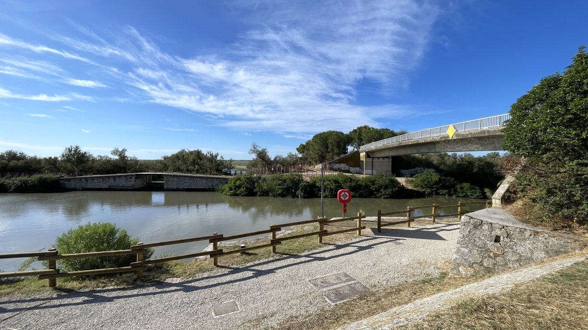 Gallician gaze Camargue 2025 (Photo Anthony Maurin)