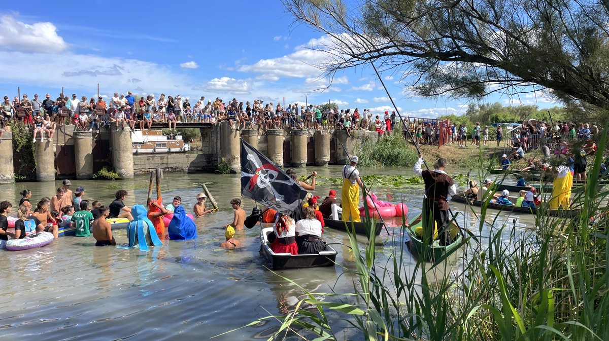 Gallician gaze Camargue 2025 (Photo Anthony Maurin)