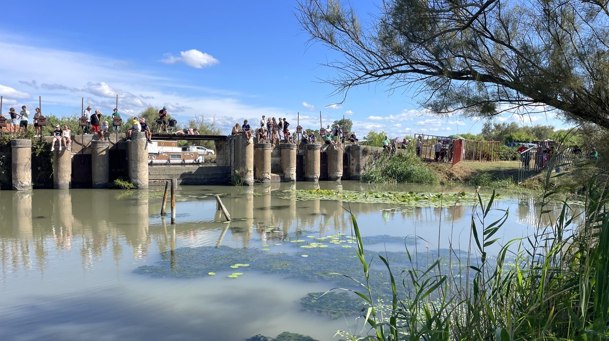 Gallician gaze Camargue 2025 (Photo Anthony Maurin)
