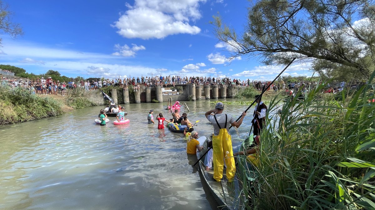 Gallician gaze Camargue 2025 (Photo Anthony Maurin)