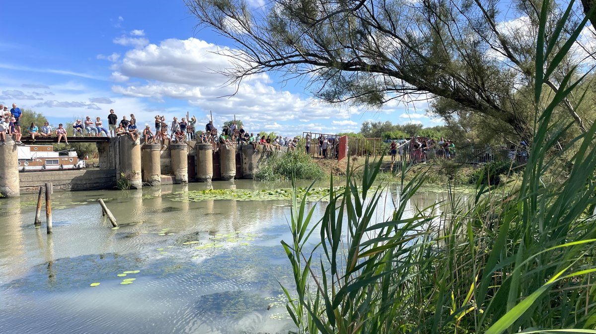 Gallician gaze Camargue 2025 (Photo Anthony Maurin)