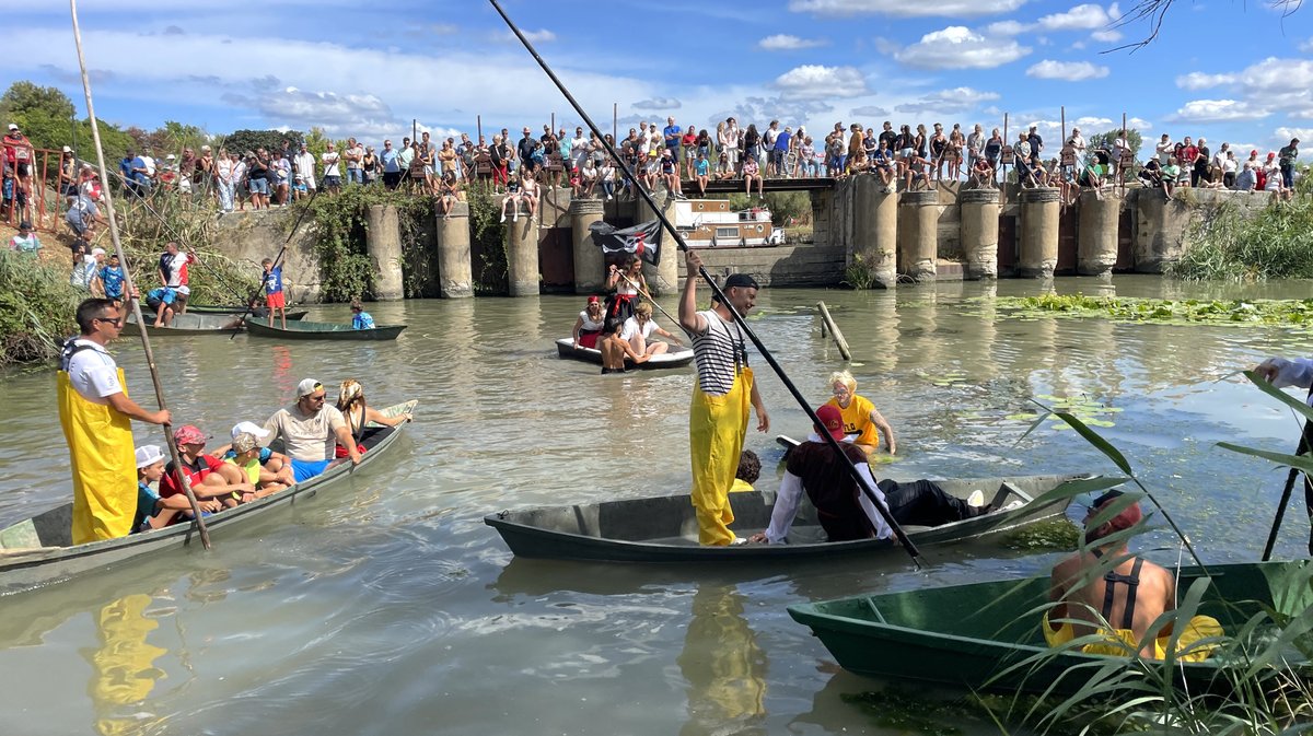 Gallician gaze Camargue 2025 (Photo Anthony Maurin)