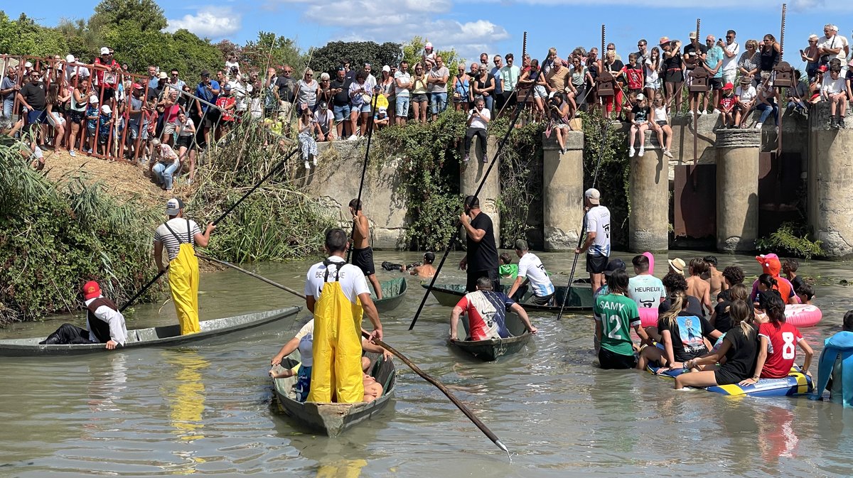 Gallician gaze Camargue 2025 (Photo Anthony Maurin)