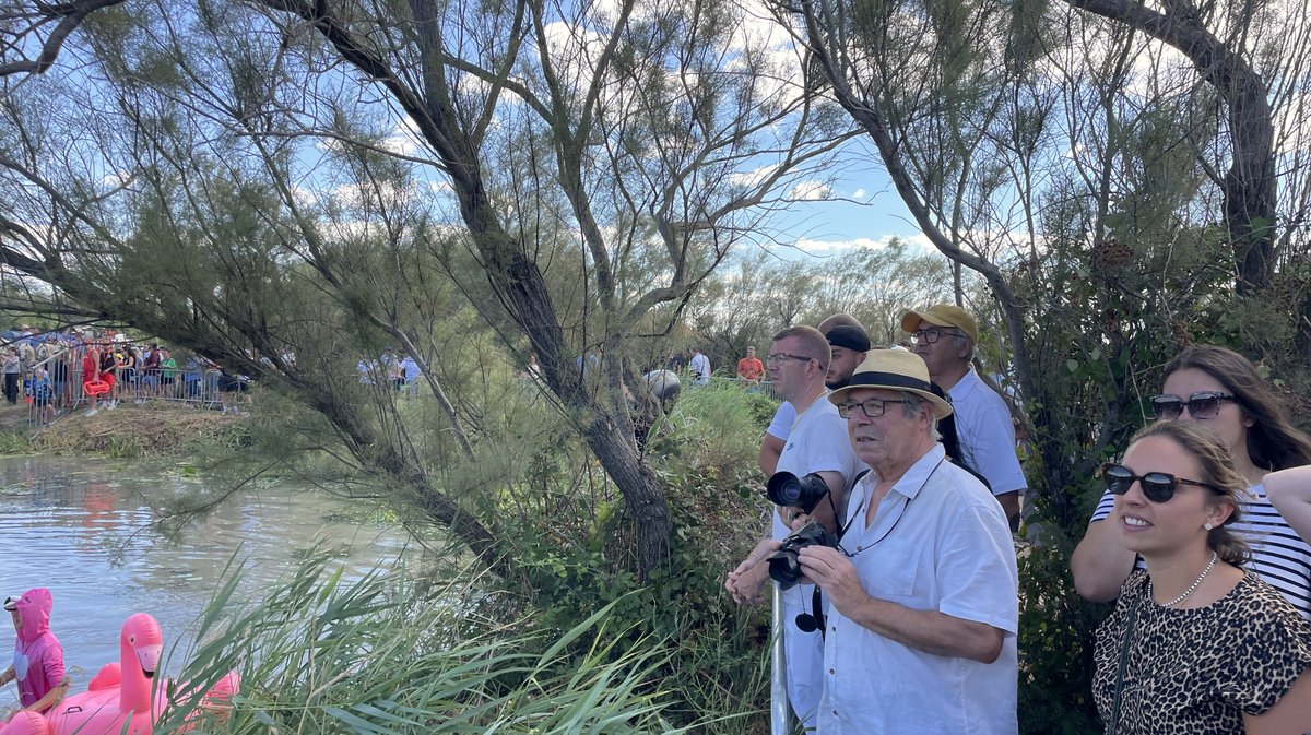 Gallician gaze Camargue 2025 (Photo Anthony Maurin)
