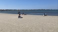 La plage du Grau-du-Roi déserte.
