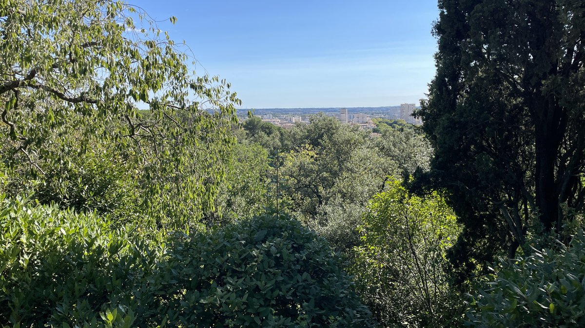 Les Jardins de la Fontaine (Photo Archives Anthony Maurin)