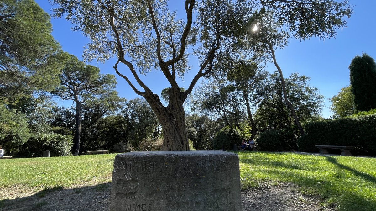 Les Jardins de la Fontaine (Photo Archives Anthony Maurin)