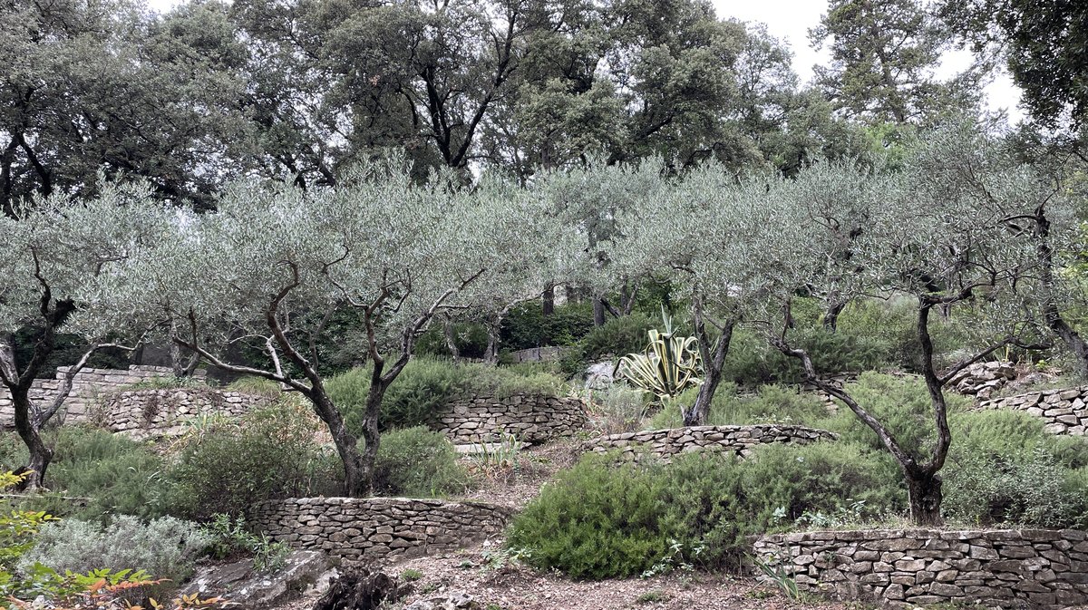 Les Jardins de la Fontaine (Photo Archives Anthony Maurin)