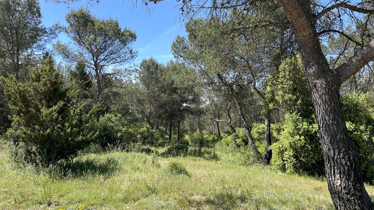 Clos Gaillard (Photo Archives Anthony Maurin)