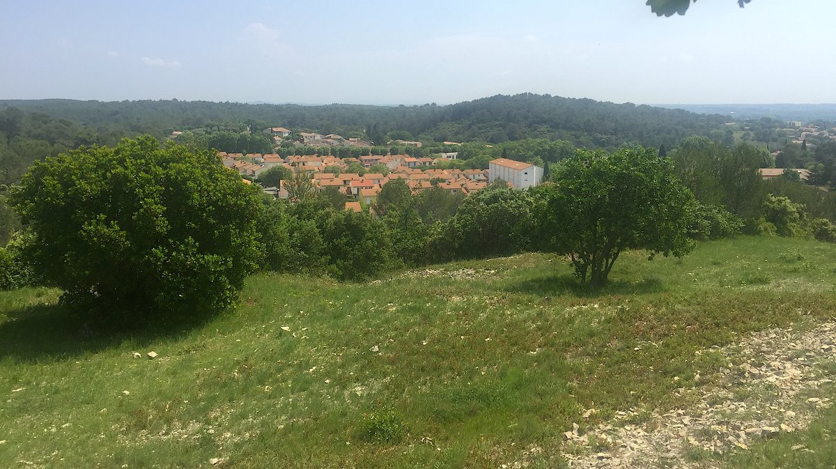 Domaine d'Escattes (Photo Archives Anthony Maurin)
