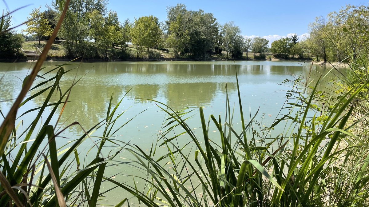 Domaine de la Bastide (Photo Archives Anthony Maurin)