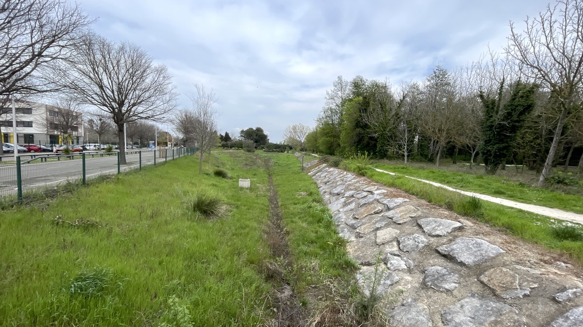 Bois des noyers (Photo Archives Anthony Maurin)