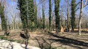 Bois des noyers (Photo Archives Anthony Maurin)