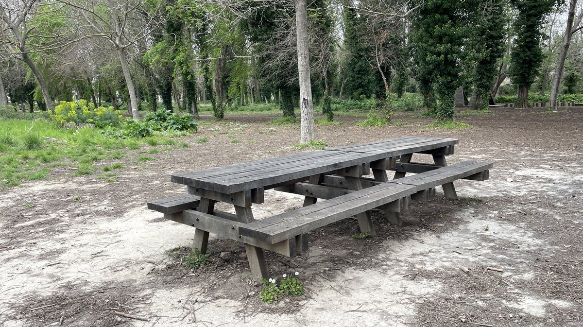 Bois des noyers (Photo Archives Anthony Maurin)